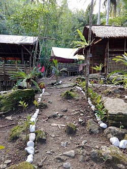 Pathways